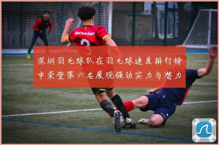 深圳羽毛球队在羽毛球速度排行榜中荣登第六名展现强劲实力与潜力