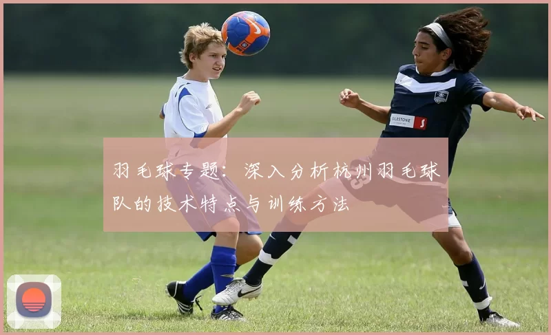 羽毛球专题：深入分析杭州羽毛球队的技术特点与训练方法
